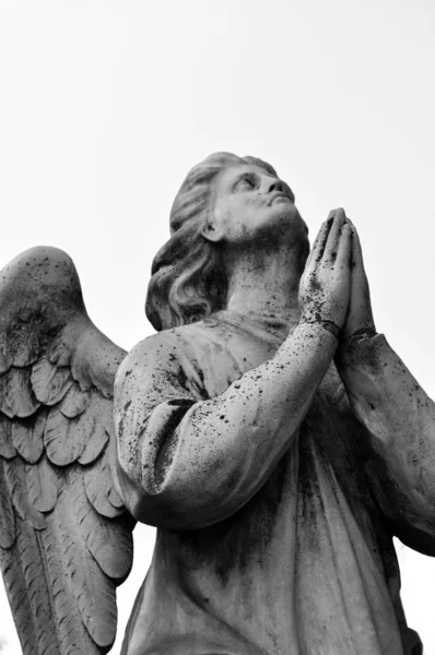 Estátua do anjo Fotografia De Stock