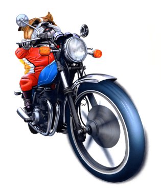 A bulldog riding bike clipart