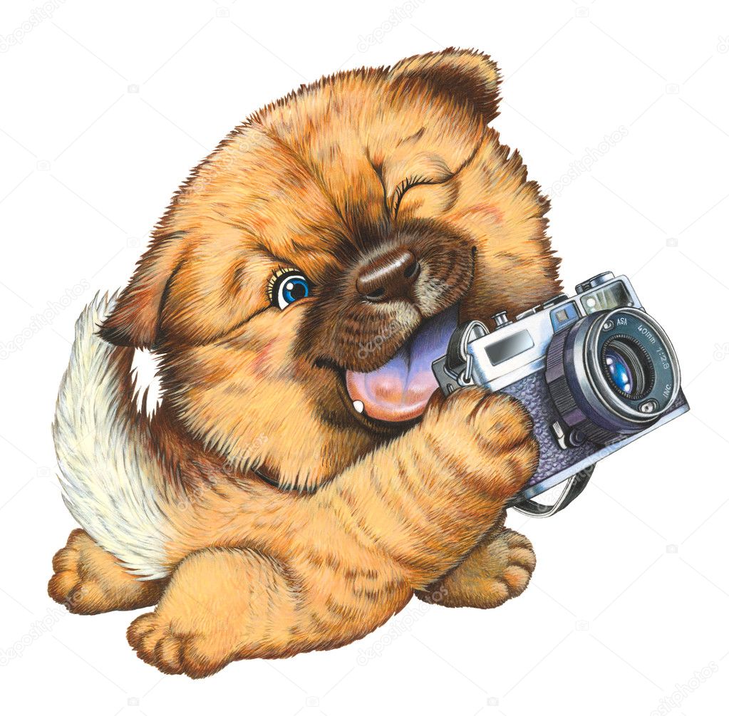 A little dog holding a camera