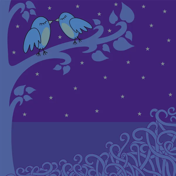 Vögel in der Nacht — Stockfoto