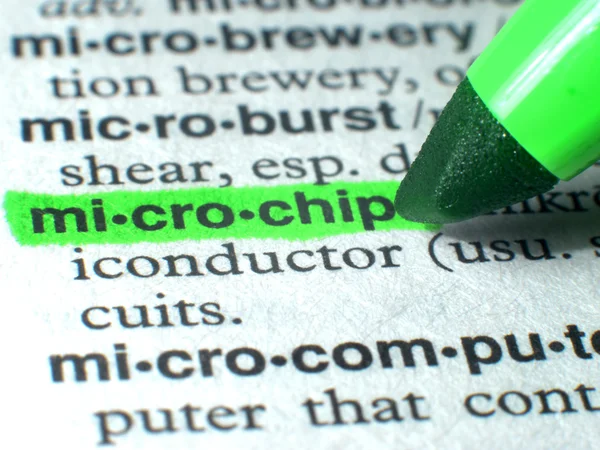 Microchip mis en évidence dans le dictionnaire en vert Image En Vente