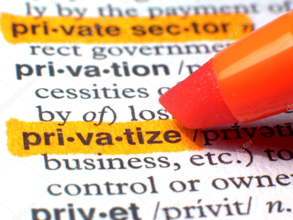 Privatize Highlighted In Dictionary In Orange