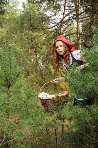 stock image Red Diding Hood