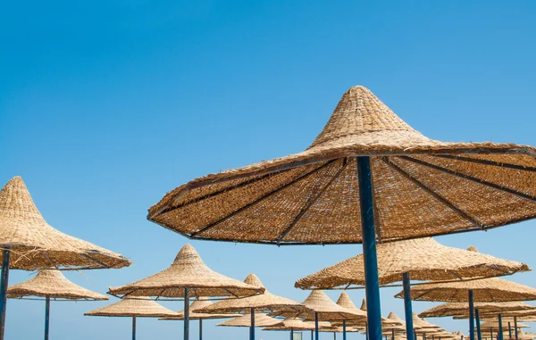 stock image Beach umbrellas