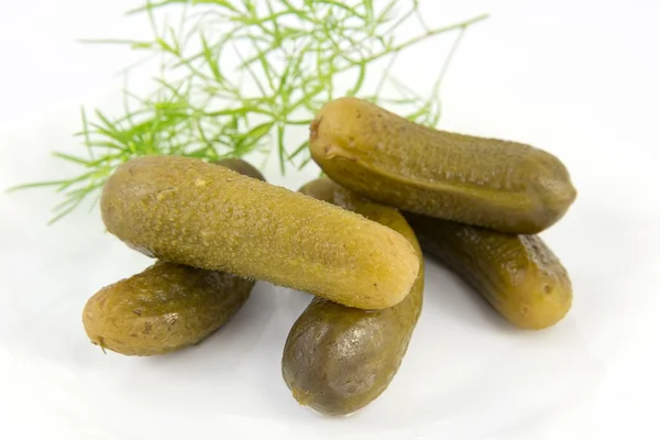 Gurka pickle — Stockfoto