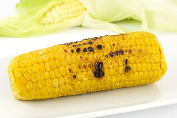 Hoja de maíz — Foto de Stock