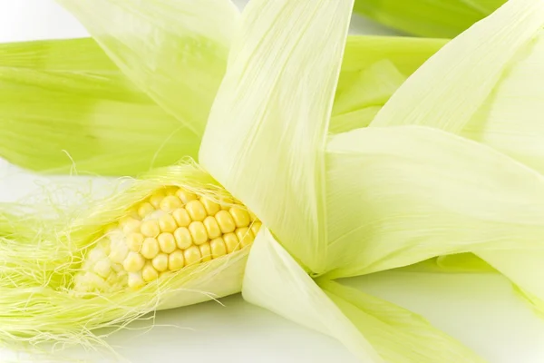 Kaczan kukurydzy — Zdjęcie stockowe