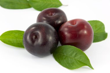 Plums fruit clipart