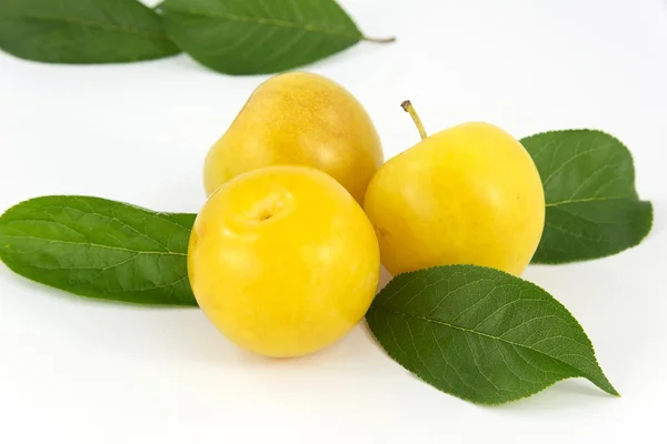 stock image Plums fruit