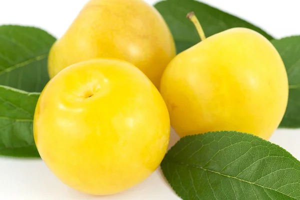 Stock image Plum fruit