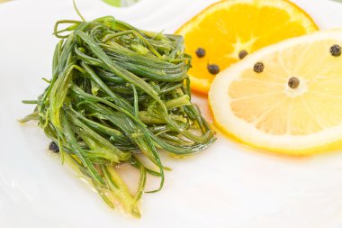 Agretti the citrus flavor clipart