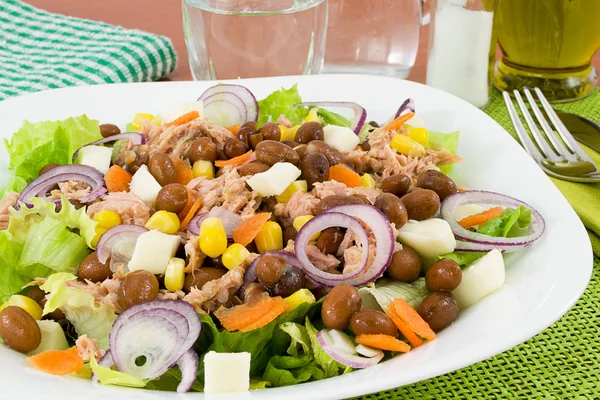 Смешанный овощной салат с фасолью и тунцом — стоковое фото