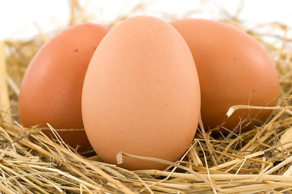 Huevos de pollo —  Fotos de Stock