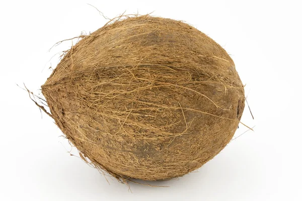 Fruto de coco aislado sobre fondo blanco — Foto de Stock