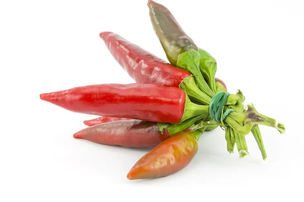 Massa röda Chili peppar — Stockfoto