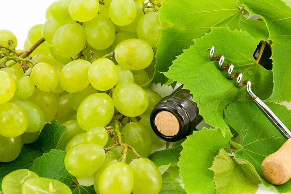 Botella de vino con vides de uva —  Fotos de Stock