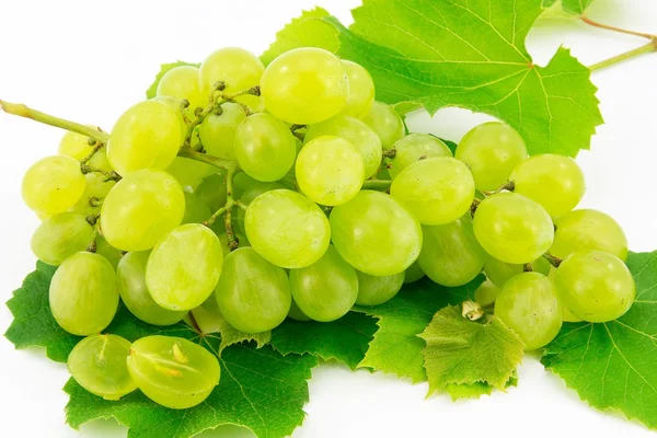 Fehér szőlő — Stock Fotó