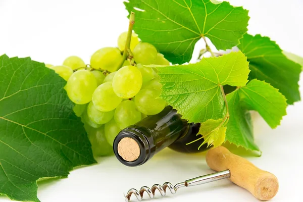Flaska vin med vinrankor — Stockfoto