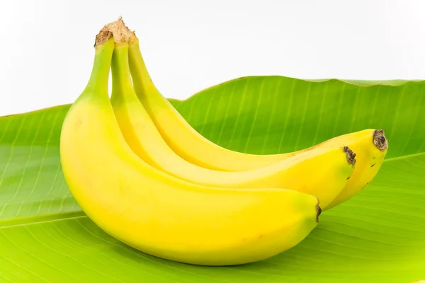 stock image Bananas