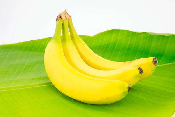 stock image Bananas