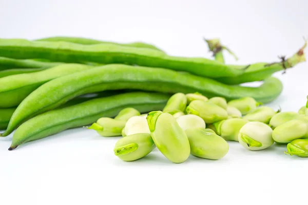 Beans fresh — Stock Photo, Image