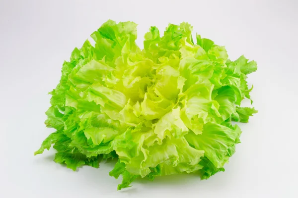 Hindiba salatası — Stok fotoğraf