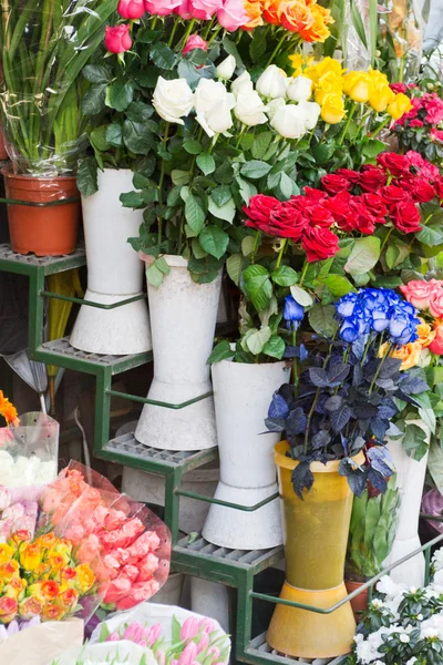 stock image Florist