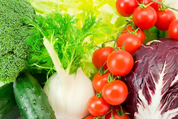 Sebze domates salatalık hindiba rezene radicchio brokoli — Stok fotoğraf