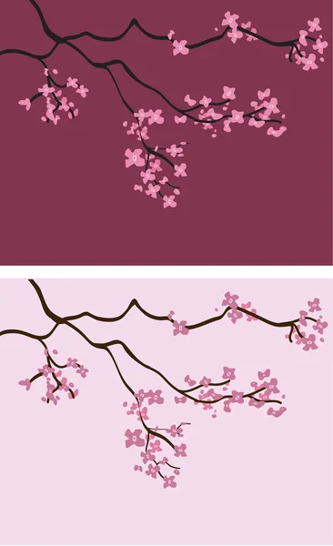 Цветущая вишня с двумя разными цветовыми фонами — стоковый вектор