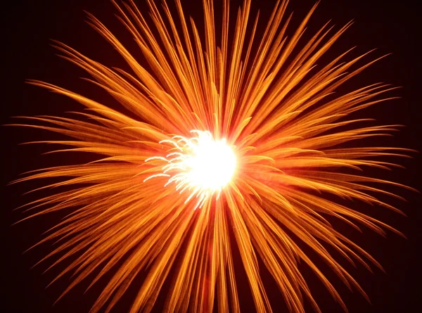 Золотой взрыв фейерверка Лицензионные Стоковые Фото