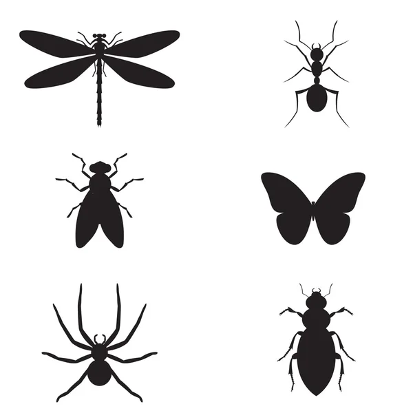 Insekt — Stock vektor