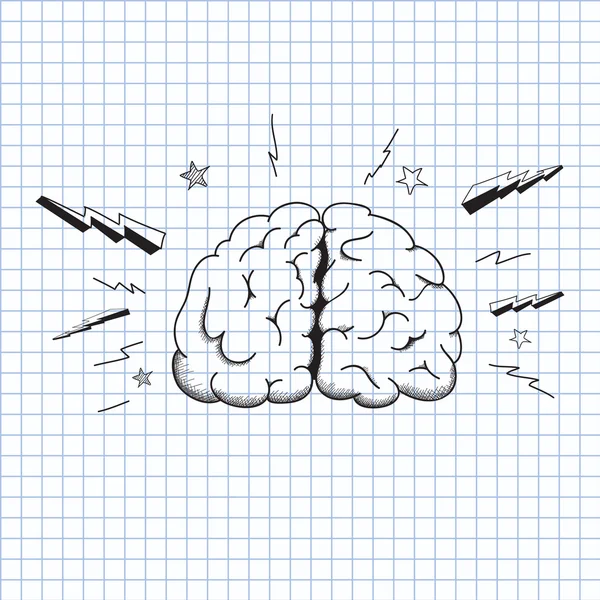 Objet cerveau — Image vectorielle