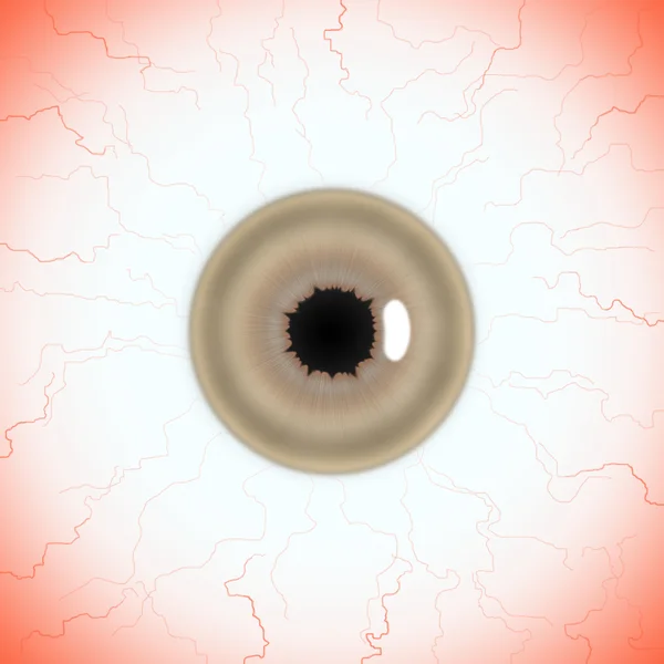 Текстурная карта глаз человека — стоковое фото