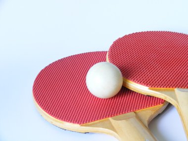 ping pong ekipmanları