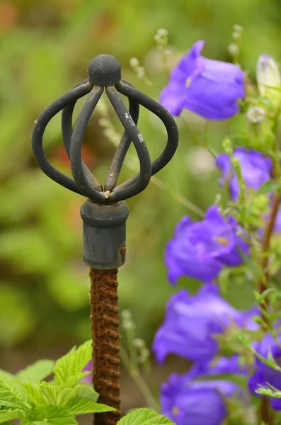 stock image Decorative pin and blue bells