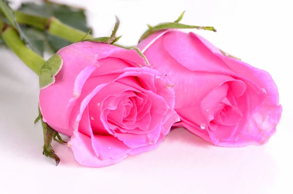 Pink roses in a bouquet — Stock Photo, Image