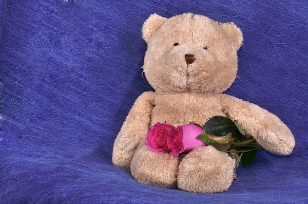 Rosa rosor och en nallebjörn — Stockfoto