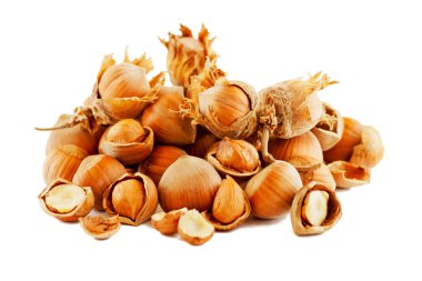 Hazelnut Composition clipart