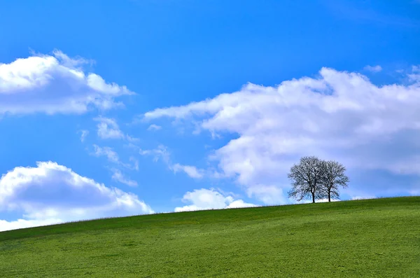 Зеленый холм — стоковое фото