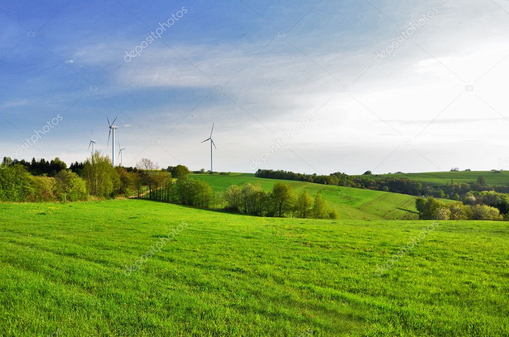 Green field and wind generator