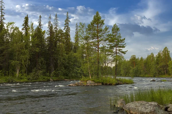 Keret řeka v Karelské. — Stock fotografie