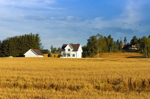 Casa agricultor na Noruega . — Fotografia de Stock