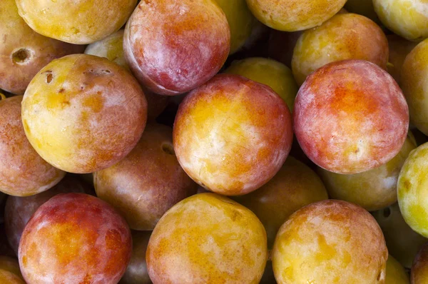 stock image Plums are a close-up