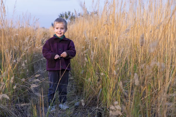 Un niño pequeño está en medio de la hierba alta . — Foto de Stock