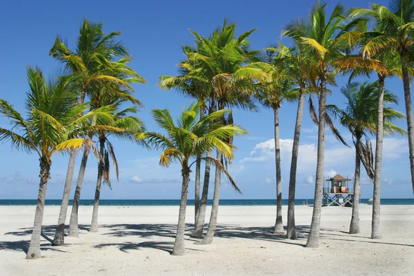 Sonniger Miami-Strand — Stockfoto