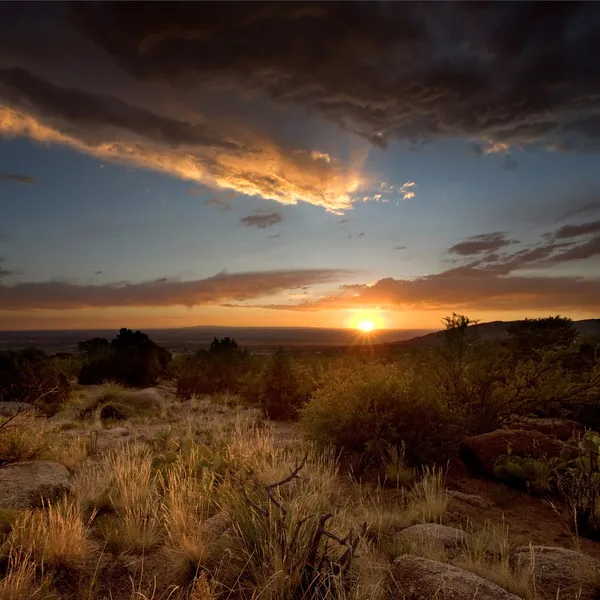 Закат пустыни в Альбукерке, Нью-Мексико — стоковое фото