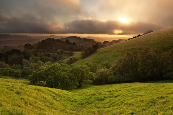Foggy California Meadow Sunset — Stock Photo, Image