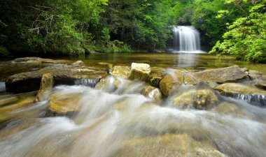 Dense Forest Waterfall clipart