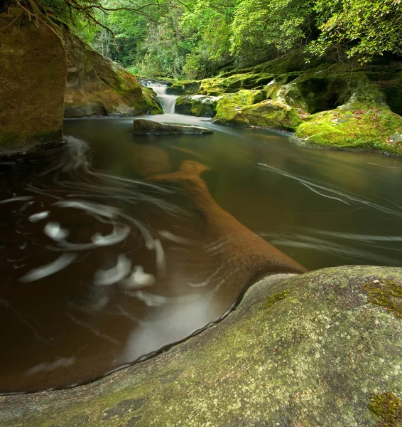 Dichte woud waterval — Stockfoto