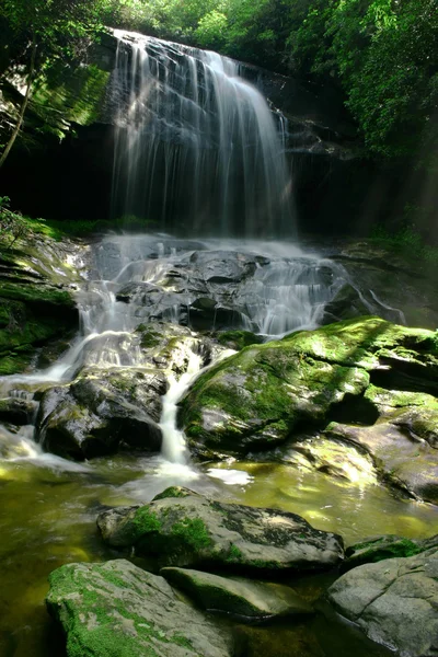 Groot bos waterval — Stockfoto